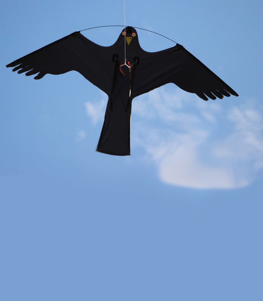RESERVDRAKE